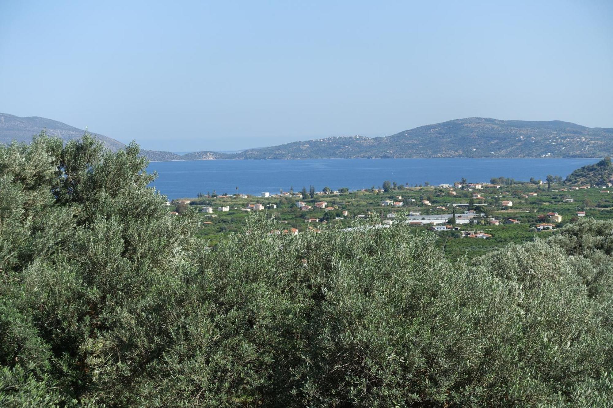Studio In Villa In Kalloni Direkt Am Meer Экстерьер фото